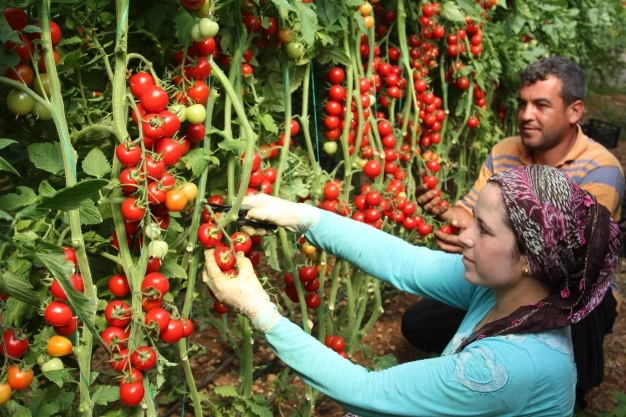 Üretime yeni yol haritası